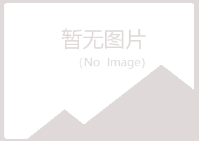 宁陕县白山化学有限公司